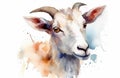 Watercolor goat portrait illustration on white background