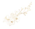 Watercolor gold linear bouquet of lotus, magnolia, rose, ranunculus and lily. Hand painted meadow flowers and leaves