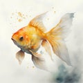 Watercolor goldfish isolated on white background. Hand drawn illustration.