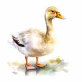 Watercolor Goose Cartoon Illustration On White Background Royalty Free Stock Photo