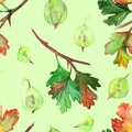 Watercolor gooseberry berry leaf branch seamless pattern texture background