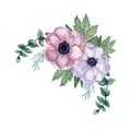 Watercolor gouache anemone floral and leaves Bouquet hand drawn Royalty Free Stock Photo