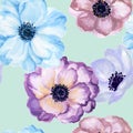 Watercolor gouache anemone floral and leaves hand drawn floral Royalty Free Stock Photo