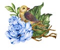 Watercolor gouache Bird and flowers bouquet Blue Violet design f