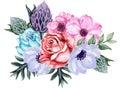 Watercolor gouache elegant vintage rose anemone protea flower an