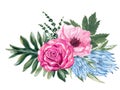 Watercolor gouache elegant vintage rose anemone protea flower an