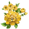 Watercolor gouache elegant vintage yellow flower