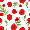 Festive watercolor poppies seamless pattern. Hand painted poppy flowers and green leaf on white background. Remembrance day, Anzac