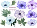 Watercolor gouache set of anemone floral and leaves hand drawn Royalty Free Stock Photo