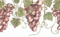 Watercolor Grape illustration. Floral Seamless watercolor border. Grapes pattern, Suitable for wallpapers, backgrounds, banners Royalty Free Stock Photo