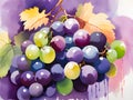 watercolor grapes and leaves. illustration