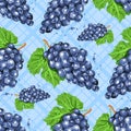 Watercolor grapes seamless pattern. Watercolor bunches of grapes on an isolated checkered blue background. Vector