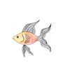 watercolor and graphic illustration of an aquarium goldfish with a large fin hand draw