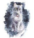 Watercolor gray cat. Cat sitting on a dark background