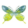 Watercolor green butterfly Royalty Free Stock Photo