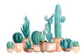 Watercolor green cacti and succulents. House Plants in pot. composition of indoor plants