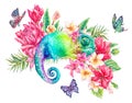 Watercolor green chameleon with butterflies, flowers Royalty Free Stock Photo