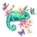 Watercolor green chameleon with butterflies, flowers Royalty Free Stock Photo