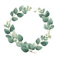 Watercolor green eucalyptus leaves and branches herb on white round frame greeting card decor set Royalty Free Stock Photo