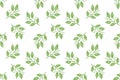 Watercolor green fancy leaves repeat pattern on the white background, seasonal illustration