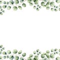 Watercolor green floral frame card with silver dollar eucalyptus leaves. Hand painted border with branches and leaves of