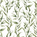 Watercolor green floral seamless pattern with eucalyptus leaves. Hand painted pattern with branches and leaves of Royalty Free Stock Photo