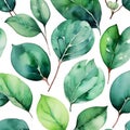 Watercolor green floral seamless pattern with eucalyptus leaves Royalty Free Stock Photo