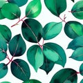 Watercolor green floral seamless pattern with eucalyptus leaves Royalty Free Stock Photo