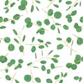 Watercolor green floral seamless pattern with eucalyptus round l Royalty Free Stock Photo
