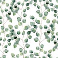 Watercolor green floral seamless pattern with eucalyptus round leaves Royalty Free Stock Photo