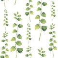 Watercolor green floral seamless pattern with herbs with round leaves. Hand painted pattern with branches and leaves of Royalty Free Stock Photo