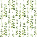 Watercolor green floral seamless pattern with twig herbs.