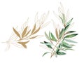 Watercolor green and golden Olive branches illustration