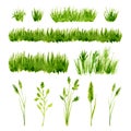 Watercolor green grass set on white background