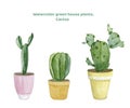 Watercolor green house plants illustration. Set cactus elements home in pots for greetig card, banner