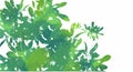 Watercolor with green leaves background, Nature concept, vector