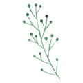 Watercolor green leaves branch Royalty Free Stock Photo