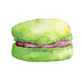 Watercolor green macaroon isolated on white background. Hand drawn illustration on paper