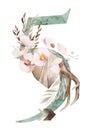 Watercolor green number 5 with antlers, dried leaves and tropical flowers bouquet, Boho illustration