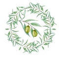 Watercolor green olive tree branch leaves wreath, Realistic olives illustration on white background, Hand painted Frame Royalty Free Stock Photo