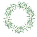 Watercolor green olive tree branch leaves wreath, Realistic olives illustration on white background, Hand painted Frame Royalty Free Stock Photo