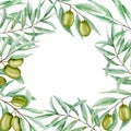 Watercolor green olive tree branch leaves wreath, Realistic olives illustration on white background, Hand painted Frame Royalty Free Stock Photo