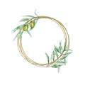 Watercolor green olive wreath, gold frame with olives branch leaves Hand painted illustration on white background Royalty Free Stock Photo