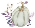 Watercolor green pumpkin with purple leaves and berries, dill branch. Fall decoration. Thanksgiving illustration.