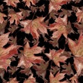 Watercolor green and red maple leaves. Leaf plant botanical garden floral foliage. Seamless background pattern.