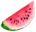 Watercolor green red watermelon juicy slice isolated vector