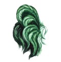 Watercolor green rooster illustration. Herbal color rooster tail.