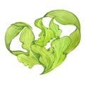 Watercolor green seaweed