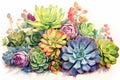 Watercolor green succulents bouquet on white background. Tropical floral illustration