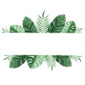 Watercolor green tropical border isolated on white background. Palm leaves banner